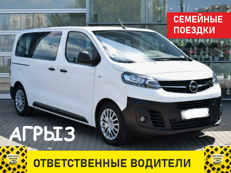 такси из Агрыза минивэн
